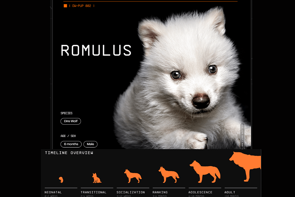 คืนชีพหมาป่า Dire Wolf หลังสูญพันธ์ุไป 12,000 ปี