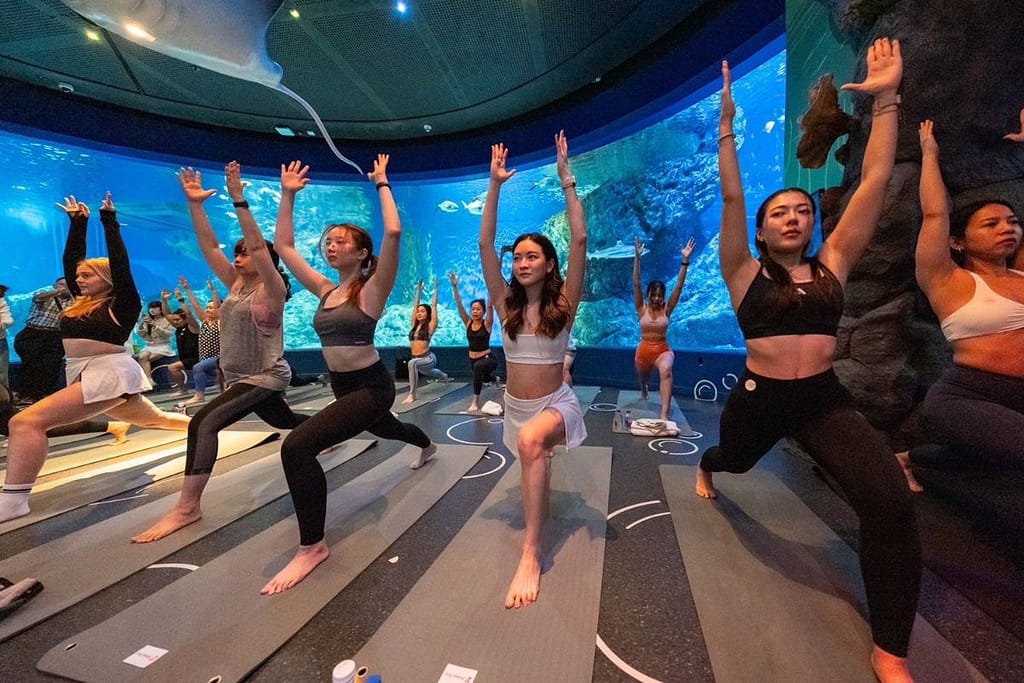 ‘Aquarium Yoga’ ครั้งแรกในไทย ดึงนักท่องเที่ยวสายเฮลท์ฮีลใจใต้ทะเล